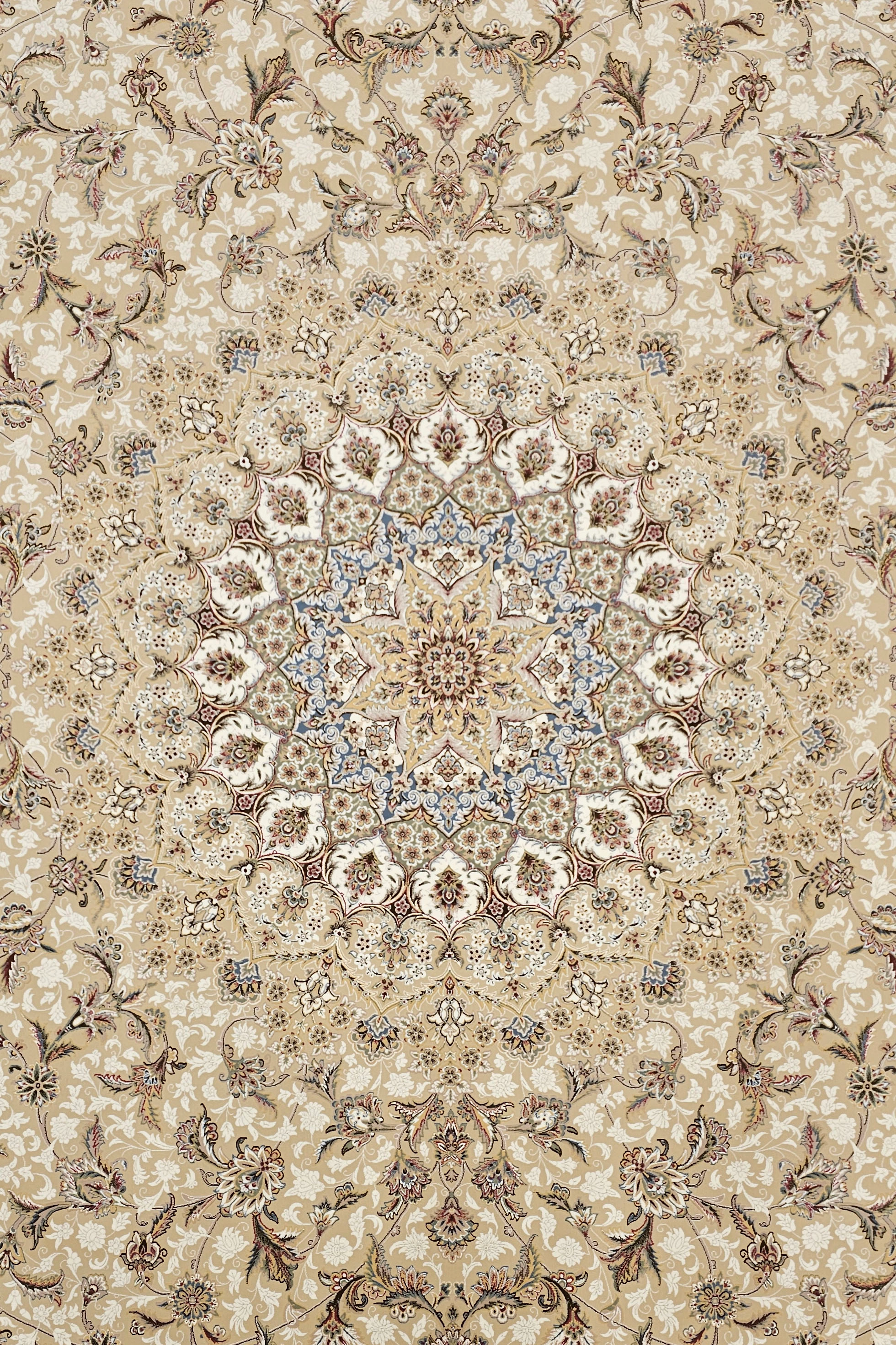 مستانه صدفی - خاطره کویر