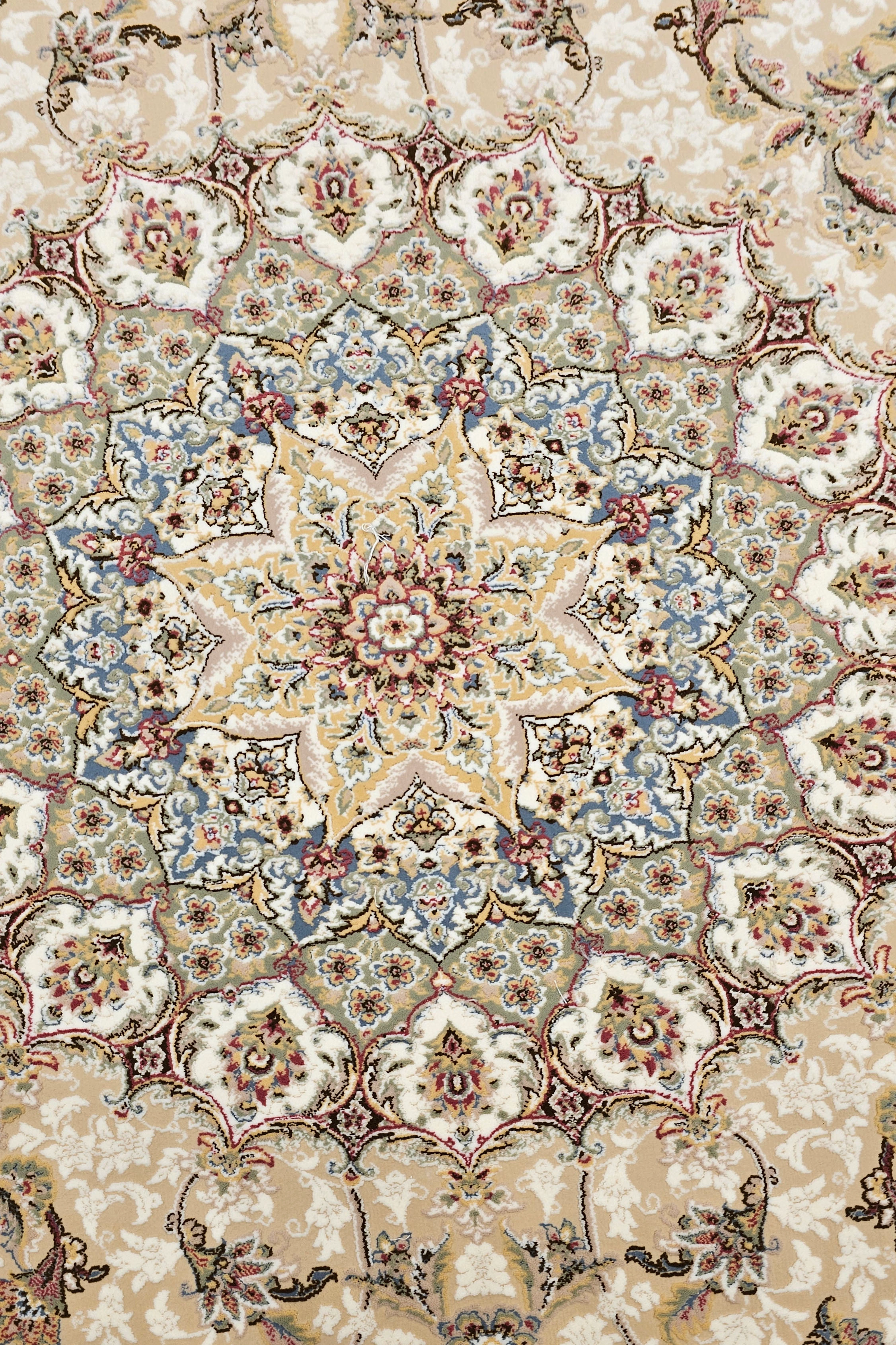 دایره 1.5 مستانه صدفی