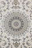 تابش کرم عظیم زاده
