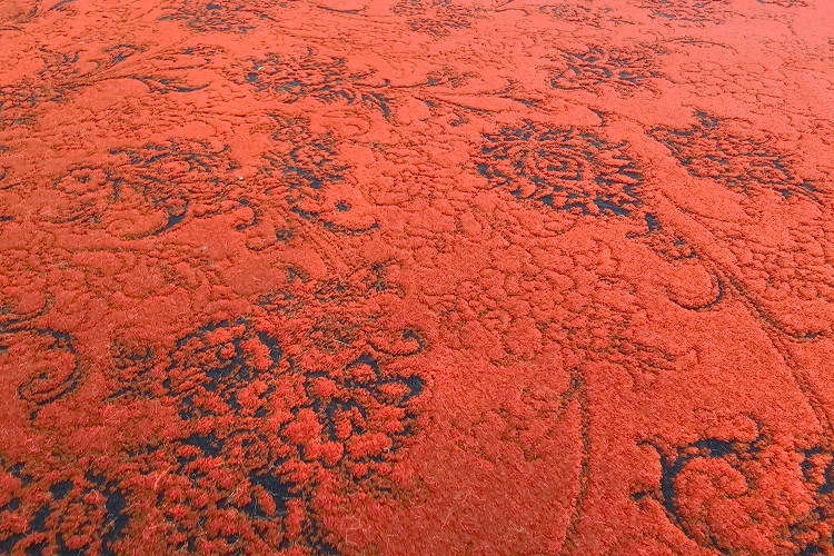 فرش نقشه آنیتا لاکی، زیبایی و دوام را با طراحی خاص به خانه شما میآورد.