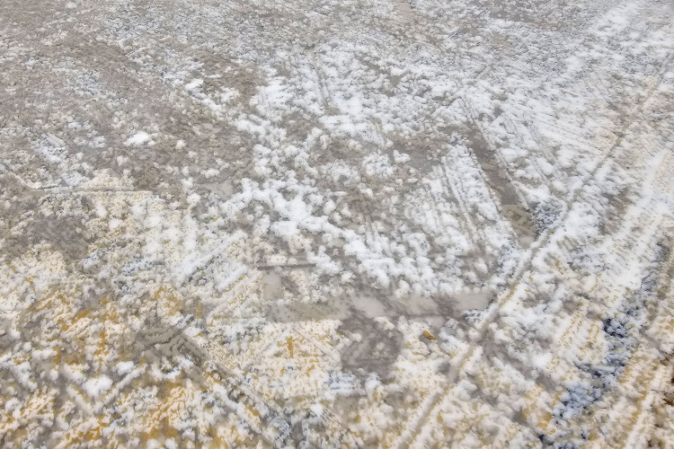 «فرش 1200 شانه والرو پتینه 1105 – مناسب پذیرایی و نشیمن»